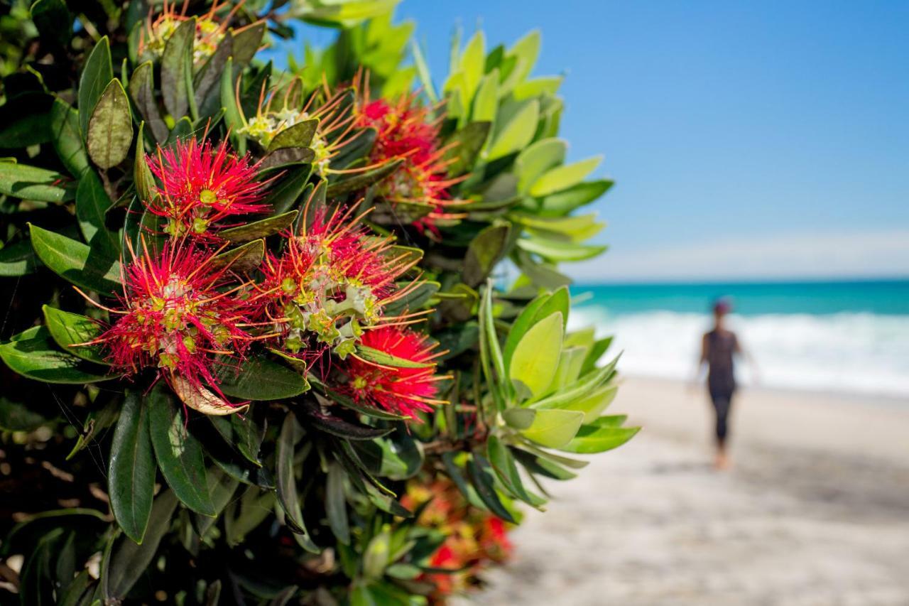 Tasman Holiday Parks - Beachaven Waihi Exterior foto